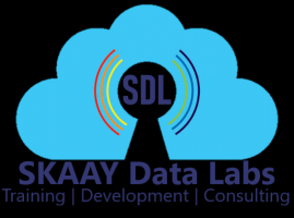 sql server specialists delhi SKAAY Data Labs