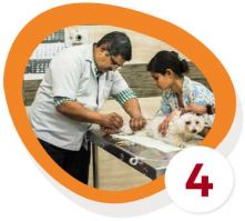 You visit a vet to receive all that is needed for your pet’s journey
