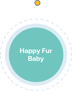 dog grooming courses delhi Flying Fur