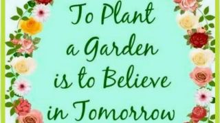 gardening centre delhi NEERAJ ASSOCIATES(A House Of Garden Lover's)