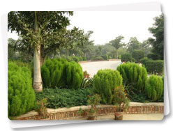 green indoor park in delhi The Garden of Five Senses