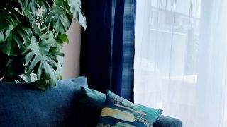 curtains and blinds in delhi Blinds N Curtains