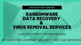 data processing specialists delhi Virus Solution Provider - Ransomware Online Data Recovery Specialists
