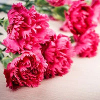 florist schools in delhi BloomsVilla- Send Flowers In Delhi
