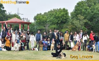 dog handlers in delhi Best Dog Trainer
