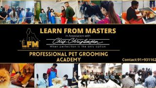 dog grooming courses delhi Pet Grooming (LEARN FROM MASTERS)