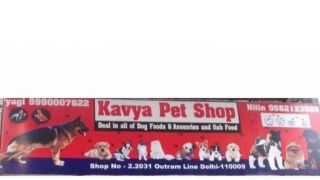 exotic animal shops in delhi kavya pet shop