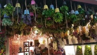 artificial flower shops in delhi Hyperboles - Artificial plants, Artificial flowers and other home decor needs supplier